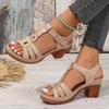 Fashion Chunky Heel Platform Roman Sandals for Women Lightweight Buckle Strap Casual Sandals Woman Summer Comfort Block Heeled Sandalias