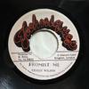 7inch Record ERNEST WILSON - Promist Me NONE Techniques Jamaica Reggae, Ska & Dub Used