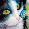 DIY Diamond Mosaic Animal Cat & Butterfly Needlework Diamond Painting Cross Stitch Wall Art