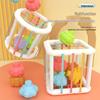 Rainbow Sesele Shape & Color Recognition Rattle for Infant Fine Motor Training