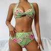 Cross-Border Women's Printed Sexy Backless Bikini Swimsuit - Two-Piece Set
