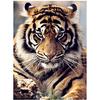 Full 5D Diy Diamond Painting Fierce Tiger Embroidery Cross Stitch Home Decor Handmade Gift