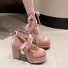 Fashion Platform Mary Janes Shoes Women Suede Luxury High Heel Lace Up Trend Lolita Shoes Elegant Chunky Party Pumps Zapatos De Mujer