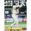 NPB Professional Baseball Card 244 Yuki Yanagida Fukuoka SoftBank Hawks (Regular Card) Epoch 2024