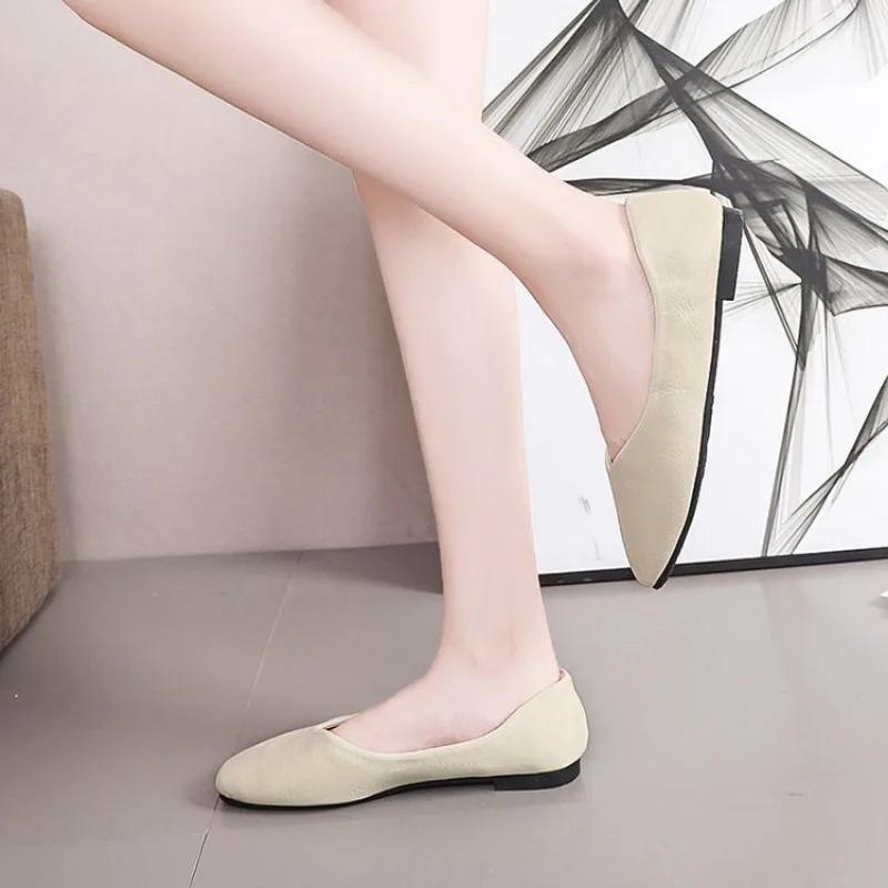 Pointed Toe Soft Sole Large Size Mother Single Shoes for Women Spring and Summer New Roman Style Slip On Fashion Women Shoes