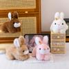Cute Rabbit Plush Toy Girl Birthday Gifts, Good Rabbit Pillows, Radish Sweatshirts, Rabbit Floor Push Gifts