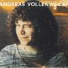LP Record ANDREAS VOLLENWEIDER - Behind The Gardens - Behind The Wal MIG02281 MIG 2020 Europe Jazz