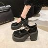 Women High Heels Mary Jane Shoes 2024 New Fashion Chunky Platform Pumps Woman Ankle Buckle Party Lolita Shoes Zapatos De Mujer