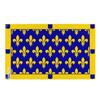 Drapeau - Ardèche - Version 2 - 60 X 90 Cm - Polyester - Impression Recto/verso