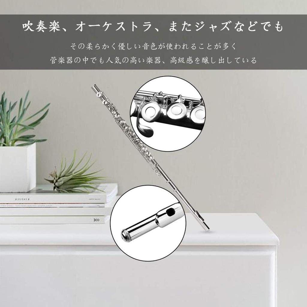 Seika 16-Hole C-Key Nickel Flute Beginner Set