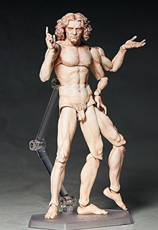 Figma Table Museum Vitruvian Human Figure Painted Movable Figure Non-scale ABS&PVC