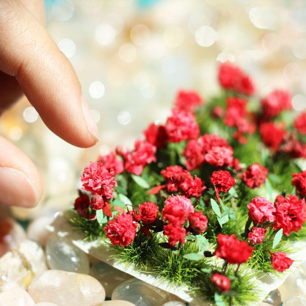 Material Fairy Garden Static Grass Tufts Sand Table Layout Scene Model Miniature Flower Cluster