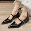 Fashion Mid Heels Women Pointed Toe Shoes 2025 New Autumn Shallow Chunky Shoes Fashion Buckle Pumps Elegant Party Dress Chaussures Femme