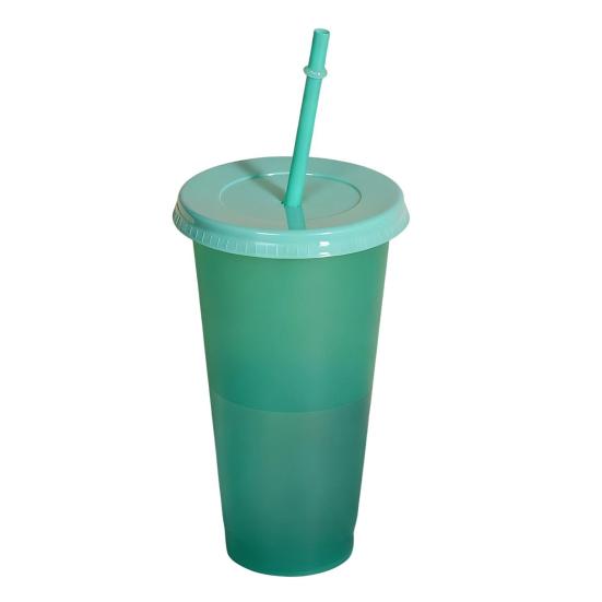 Color Changing Plastic Tumbler with Straw 24oz Reusable Cold Water Cup Leak-Proof Stackable Drinkware for Indoor Outdoor Use