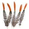 80 Natural Pheasant Feather Decorative Diy Jewelry Hair Accessories Material Cat Stick Toy Accessories