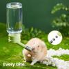 Hamster Water Bottle Small Animals Drinker Auto Drinking Fountain Hanging Water Bottle for Guinea Pig Squirrel Rabbit Golden