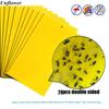 20Pcs Strong Flies Traps Bugs Sticky Board Catching Aphid Insects Pest Killer
