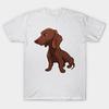T Shirt Women Brown Dachshund Harajuku Print Kawaii Tshirt Summer Short Sleeve Female T-Shirt Top Tee