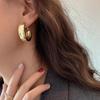 Trendy Hoop Earrings Simple Jewelry Luxury Drop Earrings Girl
