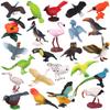 24 Pieces Realistic Bird Animals Figurines Mini Bird Animal Figures Model Cake Toppers Plastic Bird Figures Toy Simulated Toucan