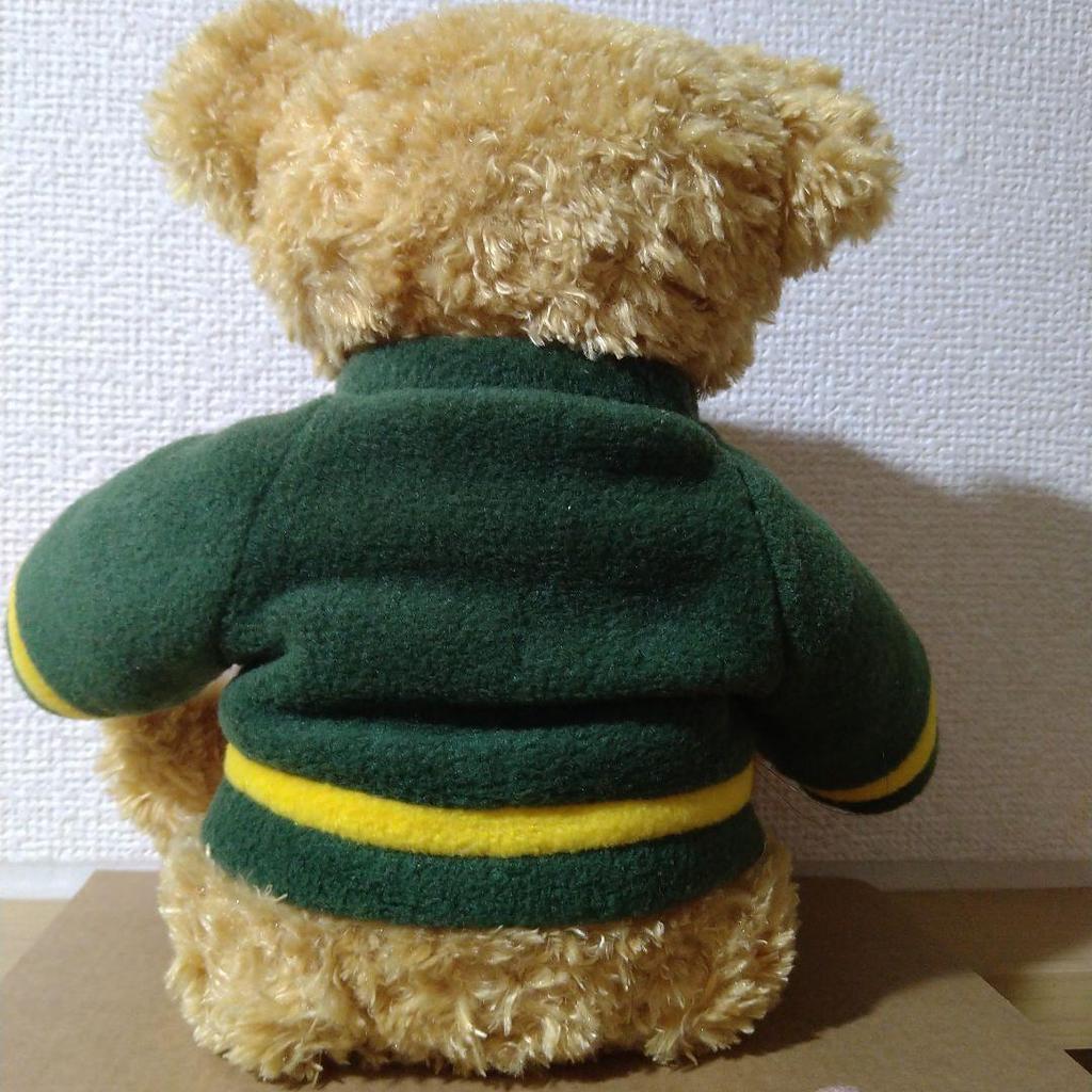 [USED] Harrods Teddy Bear Green Fleece