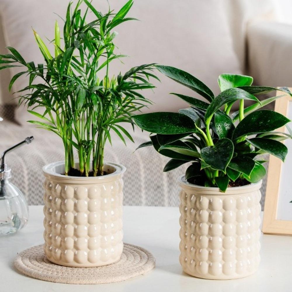 Plastic Hydroponic Plants Pot Removable Office Bonsai Decor New Flowerpot