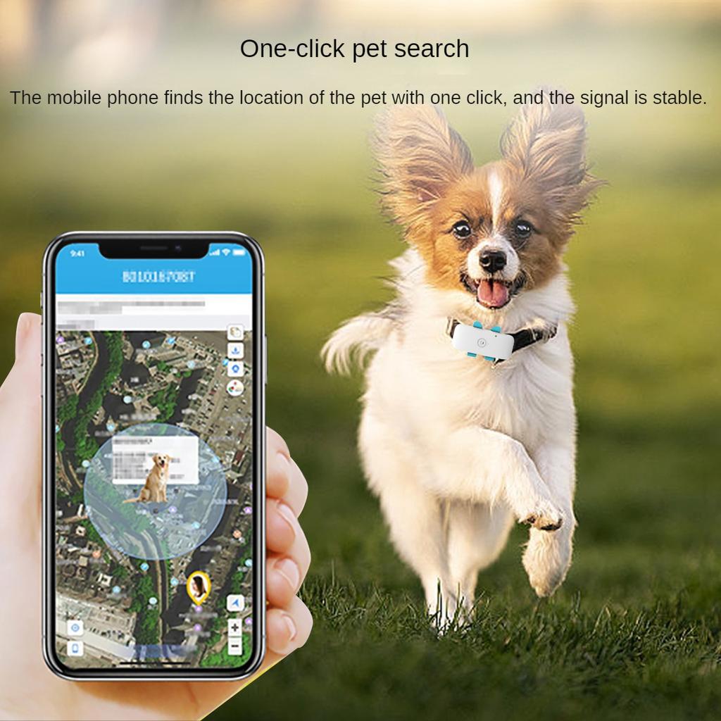 Pet 4G GPS Global Cat and Dog Tracking Locator Provides Remote Viewing APP