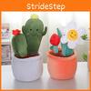 Cactus Sunflower Tulip Shrub Plush Toy Pp Cotton Fill Children Gift Festival