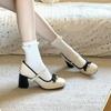 French Mary Jane Shoes Women's 2025 Spring New Beautiful High Heels with Skirt Gentle Small Fragrant Thick Heel Single Shoes