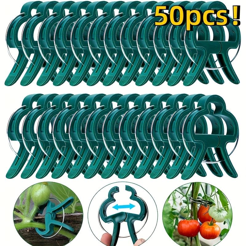 50pcs Garden Greening Garden Clip Seedling-assisted Gardening Clip Grafting Flowers and Trees Fixing Clip Plant Fixing Clip Garden Cable Ties