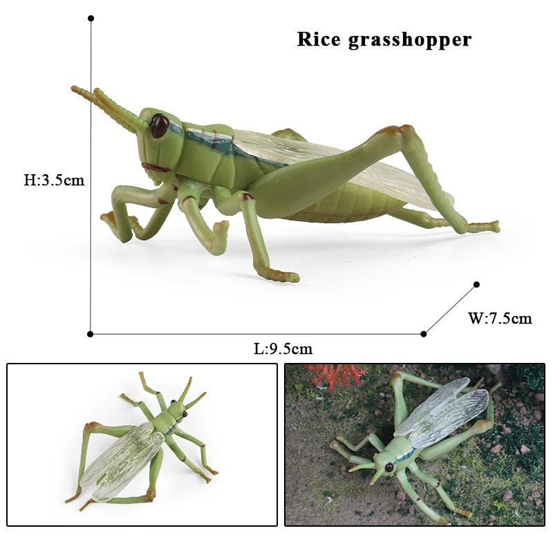 Oenux Simulation Dragonfly Grasshopper Centipede Wild Insect Animals Model Action Figures Miniature Education Collection Kid Toy