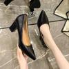 Small Pointed Thick Heel Temperament High Heels 2025 Spring, Summer and Autumn Not Tired Feet with Skirt Design Sense Niche Single Shoes