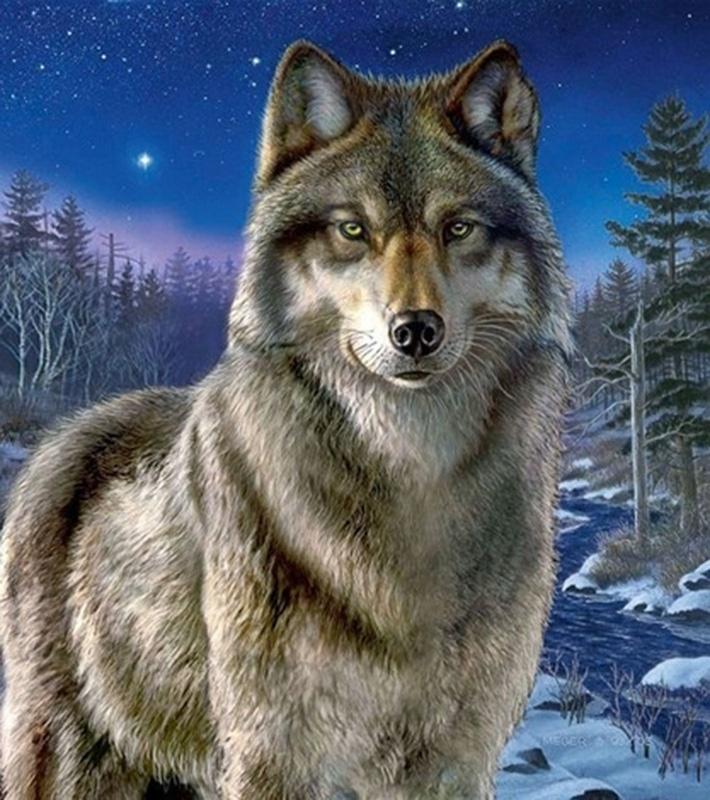 Animal Wolf DIY 5D Diamond Painting Full Round Drill Mosaic Diamond Embroidery Cross Stitch Rhinestones Handmade Gift Home Decor