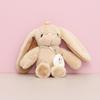 Eared Long Cute Bunny Plush Toy Adorable Cartoon Keychain Charm Perfect Gift