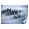 Wallpaper Forest In the Fog