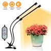 USB Plant Grow Light Sunlight White Full Spectrum Lighting Desktop Clamp Growing Lamp for Plants 5 Dimmable Levels 4/8/12H Timer