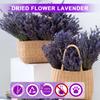 1 Box Composed Dried Flower Bundle Multi-purpose Excellent Home Fragrance Lavender Decor