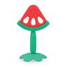 Perfection Fruit and Vegetable Teether Nipple, Teether + Case, Watermelon (red + Green), 1 Set, Korean Baby Products
