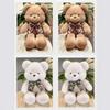Cute Bear Doll Plush Toy Bow Tie Bear Doll Cute Teddy Bear Rag Doll Pillow Birthday Gift