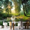 Forest Stream Wallpaper 3d Natural Scenery Wall Mural Living Room Bedroom Forest Mural Home Decor
