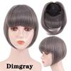 Fringe Bangs Synthetic Hair Extensions Clip In Bangs 6 Inch Short Straight Hairpiece Front Neat Bang Two Side Blonde