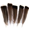 80 Natural Pheasant Feather Decorative Diy Jewelry Hair Accessories Material Cat Stick Toy Accessories