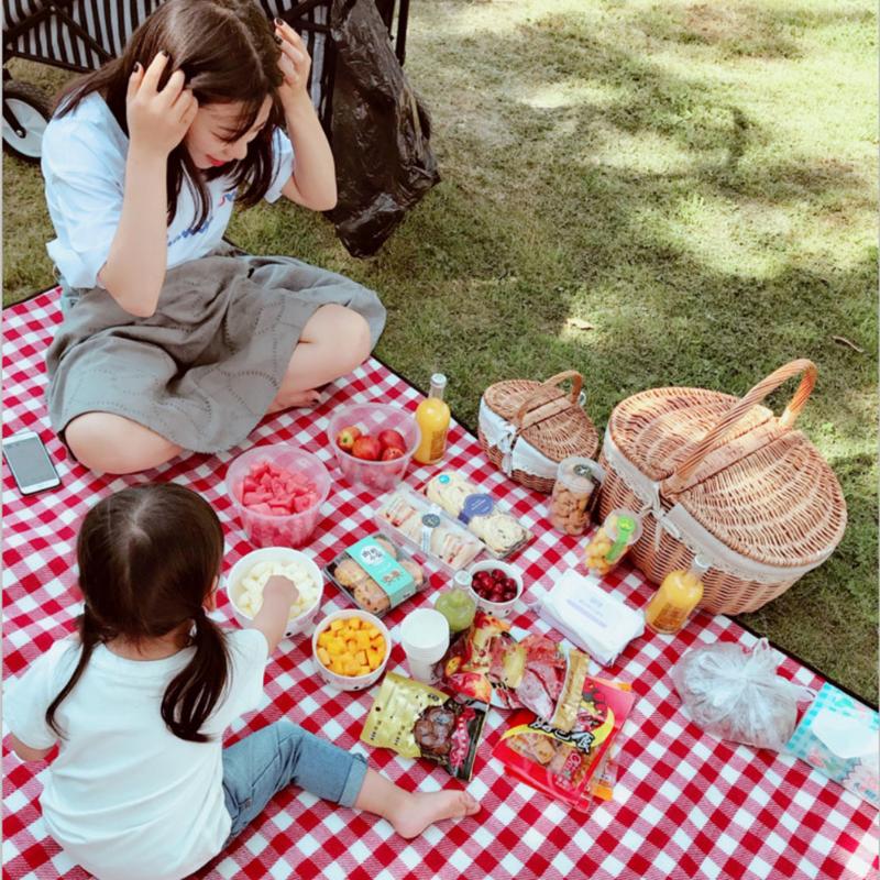 Handmade Large Wicker Basket Handle Picnic Bag Willow Woven Storage Hamper Double-Lid Camping Outdoor Fruit Holder Organizer