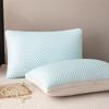 Yousheng Summer Cool Pillow Washable 3D Texture Pillow with Mesh Border Breathable Cooling Pillow for Deep Sleep Home Bedroom Dormitory