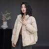 Fashion and Literary Down Jacket Women's Short 2025 Winter New White Duck Down Stand-up Collar Mother's Thermal Jacket Large Size