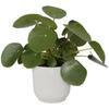 ELHO Round Flower Pot VIBES - Plastic - Ø25xH 23.0 Cm - White/Silk White