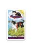 Tarot Cards Mini Size Fortune Telling 78 Cards Miniature Tarot of Pagan Cats Tarot Cards with Japanese Booklet "pocket Manual"