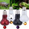 Adjustable Led Pet Heating Lamp UVA Reptile Heat Bulb Glass Bulb UVA Day Night Bulb  Snake