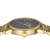 Coach Grand Watch, 36mm, Blue Dial, Quartz Movement, Water Resistant, Mineral Glass, Gold, 14503970, Women's