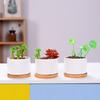 Ceramic Flowerpot Indoor Outdoor Mini Planter Pot Home Balcony Garden Decoration Cactus Succulents Plants Container